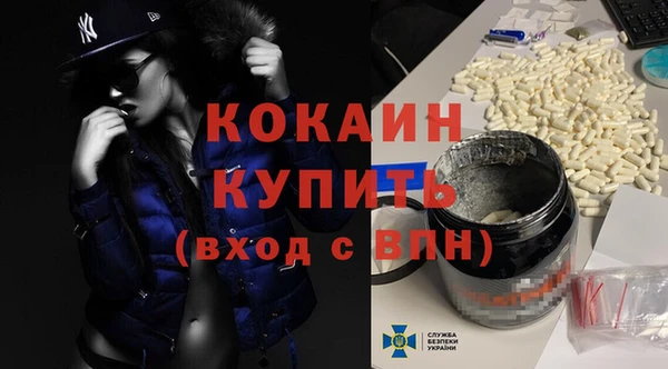 крисы Лагань