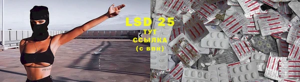соль ск Липки