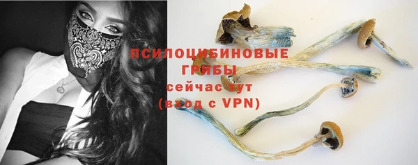 гидра Ладушкин