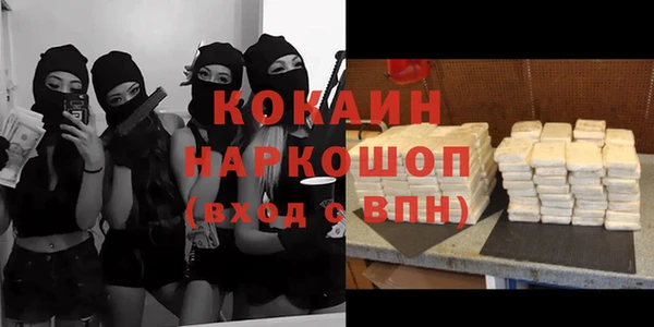 крисы Лагань