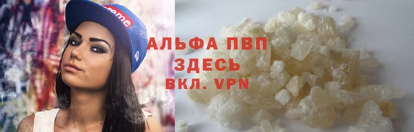гидра Ладушкин