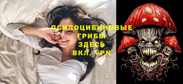 шишки Лиски