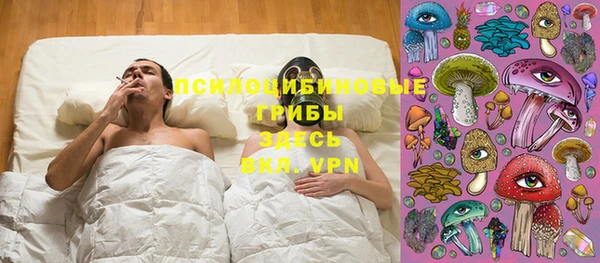 соль курить ск Лабытнанги