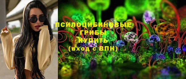 гидра Ладушкин