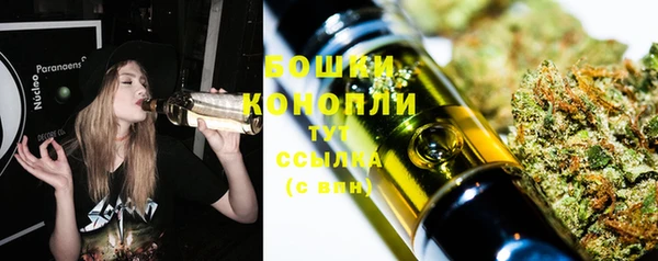 гидра Ладушкин