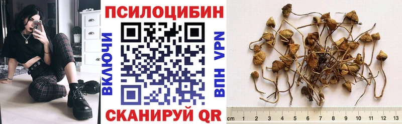 Купить где  Кунгур  Галлюциногенные грибы мухоморы 